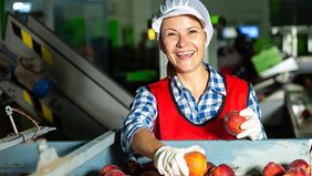 Bild: Erfolgreiche Jobvermittlung